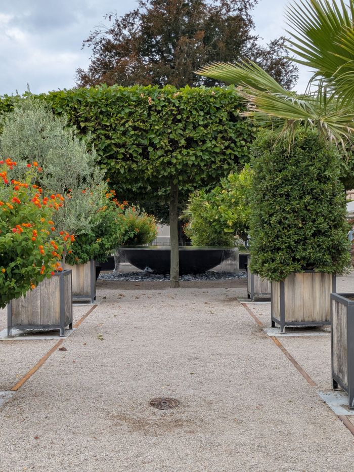 A peaceful garden scene with a symmetrical pathway lined with vibrant plants in wooden planters.